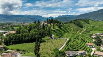 Il Cammino Tra Le Colline Di C