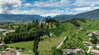 Il Cammino Tra Le Colline Di C