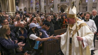 Il Cardinale Di New York Sul P