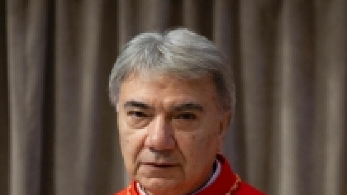 Il Cardinale Di Napoli Celebra