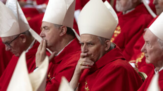 Il Cardinale Matteo Zuppi Cele