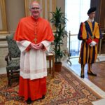 Il Cardinale Stephen Brislin E Il Suo Ruolo Chiave Nel Conclave 2025 E La Chiesa Sudafricana