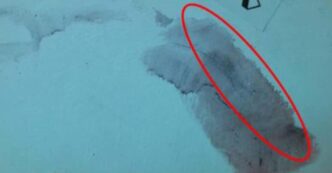 Il Caso Garlasco Torna Alla Ri