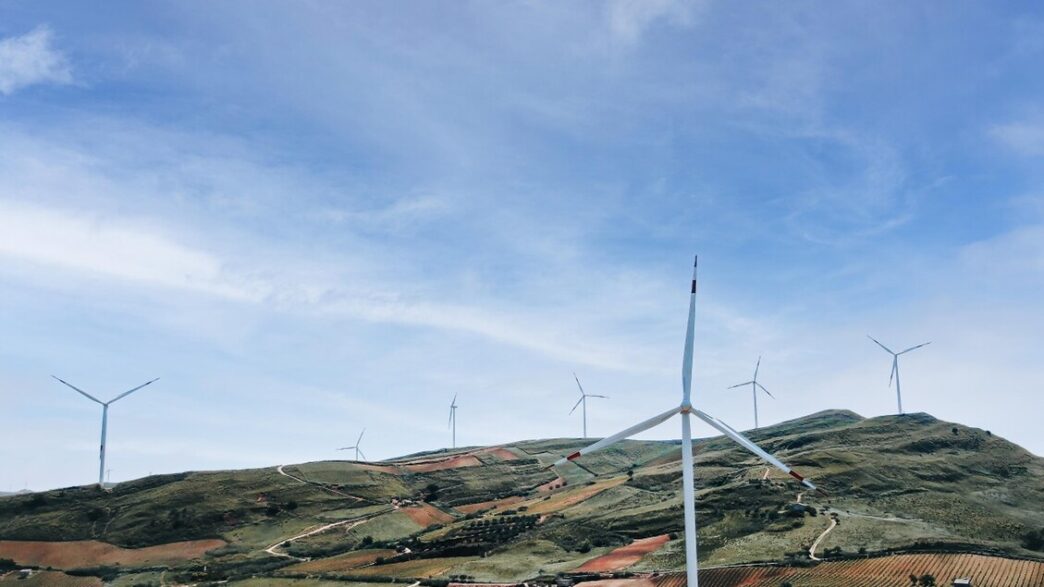 Il Consiglio Regionale Delle M