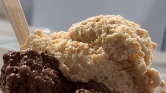 Il Gelato Del Futuro Tra Soste