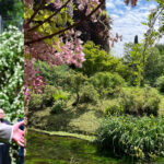 Il Giardino Di Ninfa A Cisterna Di Latina: Un Luogo Tra Natura, Storia E Grandi Ospiti Passati