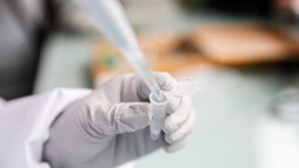 Il Laboratorio Di Genetica Med