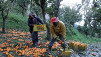 Il Marocco Stanzia Un Contribu