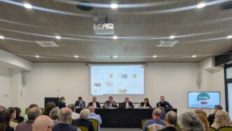 Il Nodo Tra Economia Degli Alg