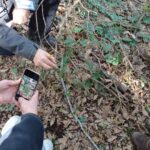 Il Parco Nazionale Del Circeo Lancia Il Progetto Magacirce Per Salvaguardare La Biodiversità Locale Con Eventi E Monitoraggi