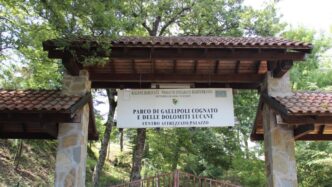 Il Parco Regionale Di Gallipol