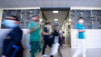 Il Primario Delle28099Ospedale Di P
