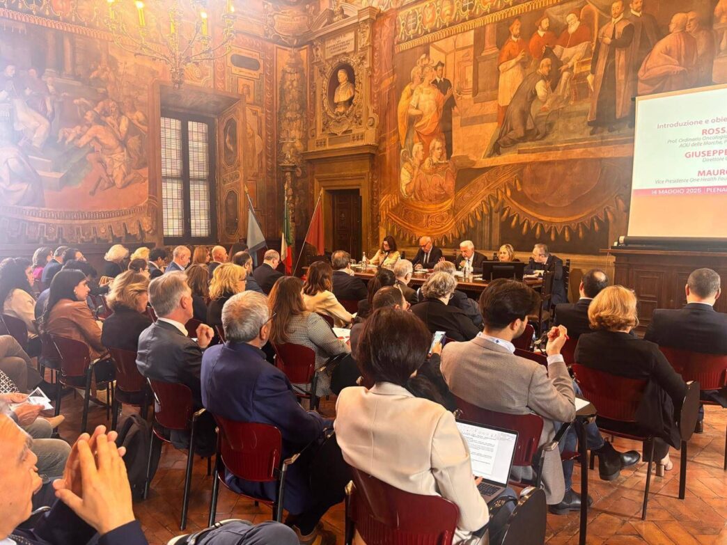 Il Primo Curriculum Globale It