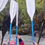 Il Rafting In Val Di Sole Con Giorgia Meloni E Ministri Di Fratelli D’italia Nel Weekend In Trentino Alto Adige
