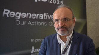 Il Ruolo Delle Grandi Imprese