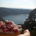 Sagra Delle Fragole Di Nemi 2025: Tutte Le Novità Del Centenario (1-2 Giugno)
