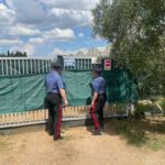 Imprenditore Agricolo Di Aprilia Denunciato Per Impiego Di Lavoratori Irregolari, Attività Sospesa