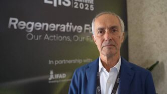 In Italia Il 9525 Dell27Olio Di