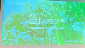In Italia Diminuiscono Fertili