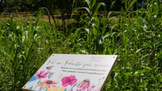 Inaugurato Il Nuovo Parco Di A