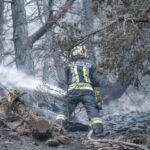 Incendio Boschivo Al Monte Montoni Nel Comune Di Stelvio Ha Distrutto Oltre 145 Ettari Di Bosco Protetto