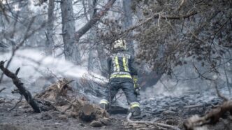 Incendio Boschivo Al Monte Mon