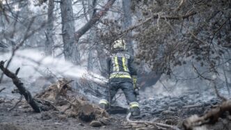 Incendio Boschivo Al Monte Mon