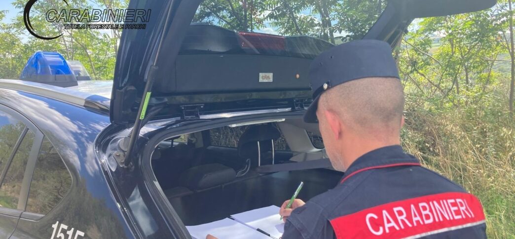 Incendio Di Rifiuti A Bellante