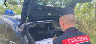 Incendio Di Rifiuti A Bellante