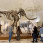 Ingressi Gratuiti Nei Musei Dell’aquila Per Il 2 Giugno E Altre Date Del 2025