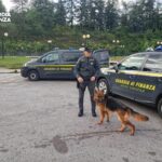 Intensificati I Controlli Della Guardia Di Finanza A L’aquila Contro Spaccio E Detenzione Di Droga