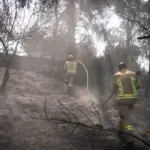 Israele In Fiamme: Incendi In Corso Attorno A Gerusalemme E Intervento Militare Per Spegnere I Roghi