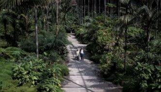 Jardins Abertos A Lisbona3A Un