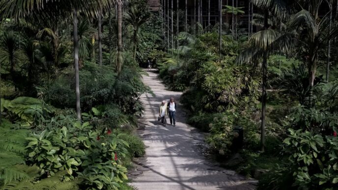 Jardins Abertos A Lisbona3A Un