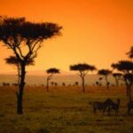 Kenya Verso I 3 Milioni Di Arrivi Nel 2025 Con Un Impulso Dal Mercato Italiano