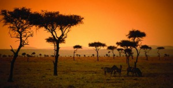 Kenya Verso I 3 Milioni Di Arr