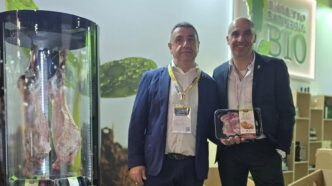 Le28099Agnello Biologico Igp Di Sar