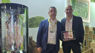 Le28099Agnello Biologico Igp Di Sar