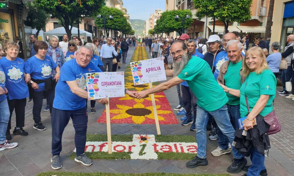 Le28099Associazione Infiorata Cittc3A0