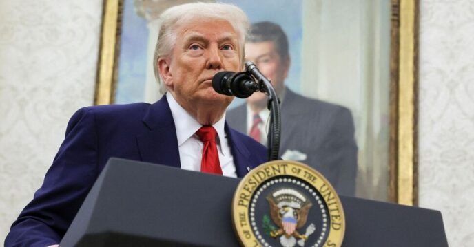 La Corte Federale Americana An