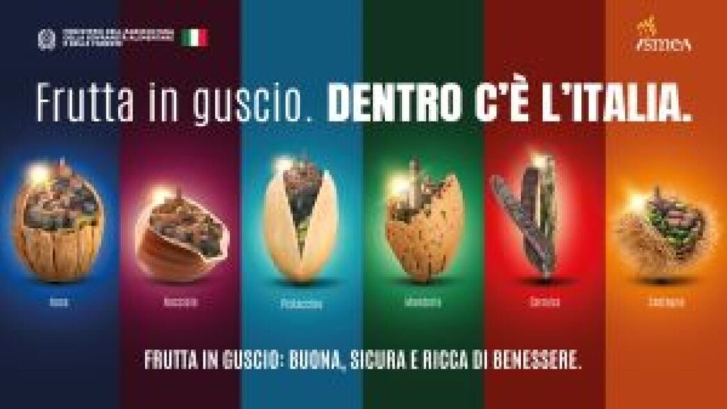 La Frutta In Guscio Protagonis