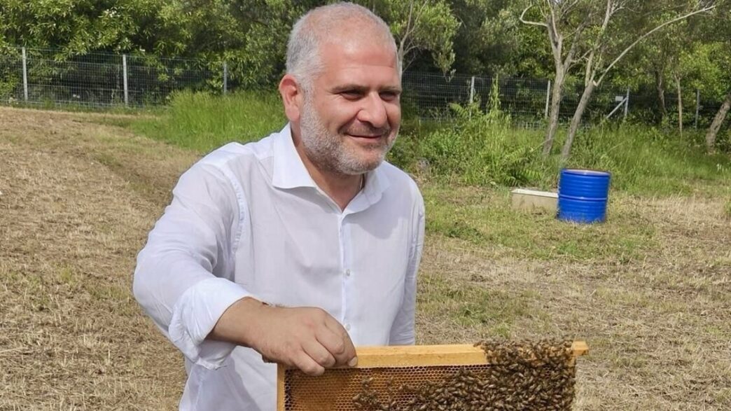 La Giornata Mondiale Delle Api
