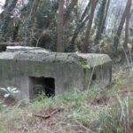 La Linea Galla Placidia: I Bunker Dell’Adriatico E La Loro Storia Raccontata Ad Ancona