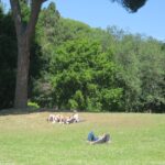 La Necropoli Della Banditaccia A Cerveteri Sempre Più Luogo Di Incontro Per I Giovani