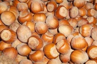 La Nocciola In Sicilia Protago