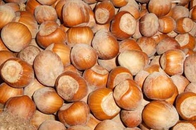 La Nocciola In Sicilia Protago