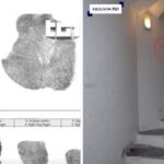 La Scienza Forense E Le Nuove Indagini Sul Caso Garlasco: Il Genetista Marzio Capra Invita Alla Cautela