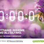 La Sopravvivenza Delle Api Al Centro Della Lotta Per La Biodiversità E Il Sostegno A Greenpeace Nel 2025