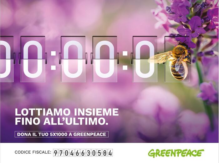 La Sopravvivenza Delle Api Al