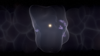 La Terra Alle28099Interno Della Bol